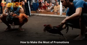 How to Make the Most of Promotions