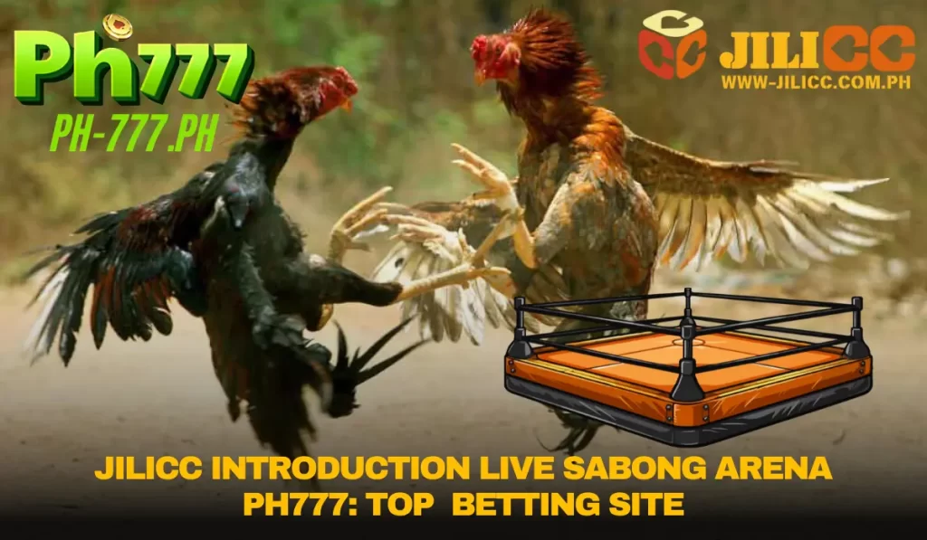 JILICC introduction Live Sabong Arena PH777: Top Betting Site